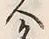 Character 名