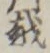 文字 越