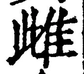 文字雌