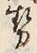 「勢」字