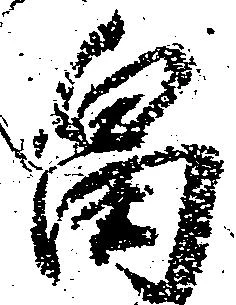 畠，已得其位