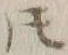 文字𪜈