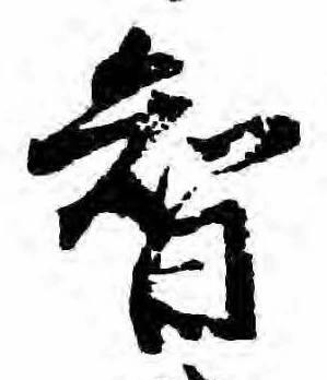 Đã định vị 智