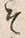 “そ”字