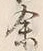 Character 百