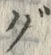 文字 ぐ