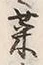 Character 菜