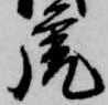虎の位置