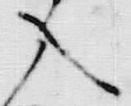 “入”字