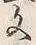 「つ」字