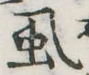 位置定マレル虱