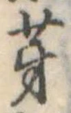 位置 確認된 芽