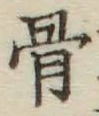 文字 骨
