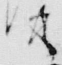 文字何