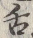 已定位舌