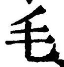 字毛