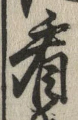 已定位看