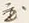 Character 置