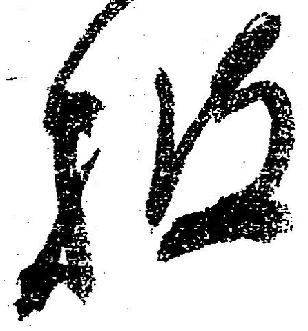 位置 確認된 披