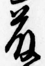 已定位藤