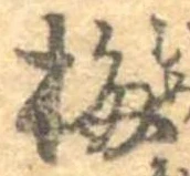 已定位梅