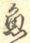 已定位魚