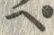 位置 確認된 ぺ