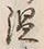 文字面