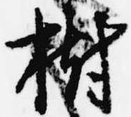Đã định vị 樹