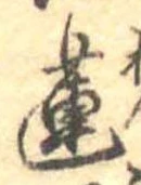 Đã định vị 蓮