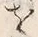 文字尊