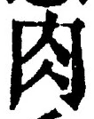 文字肉