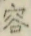 Character 容