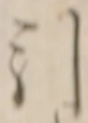 Chữ 引