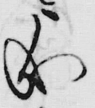 「被」字