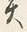字せ
