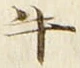 文字牛