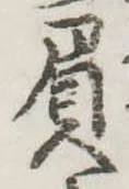 Đã định vị 屓