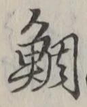 Character 鯛