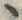 字ヽ