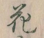 位置 確認된 花