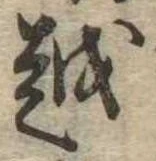 位置 確認된 越