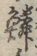 位置 確認된 鱗