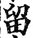 「留」字