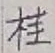 文字桂