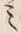 Character 歩