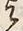 文字 儀