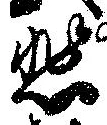 悲の位置