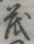 已定位茂