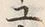 文字 ユ